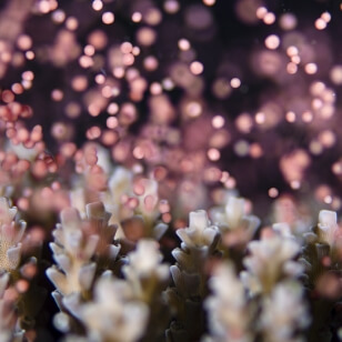 海を守る 環境配慮に自信あり