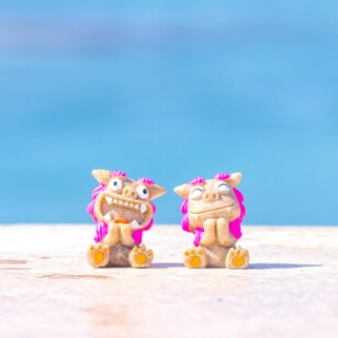 中高年層の利用実績多数！