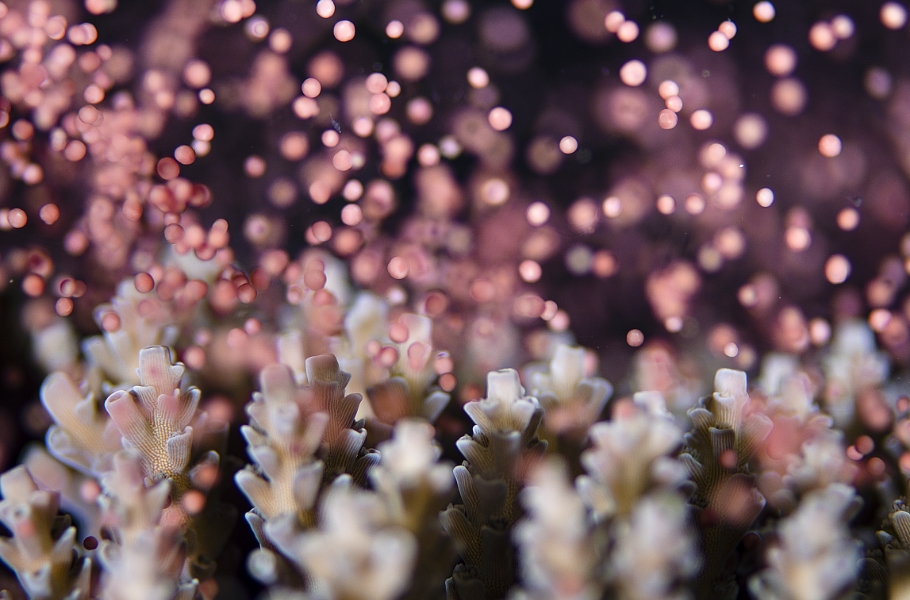 海を守る 環境配慮に自信あり