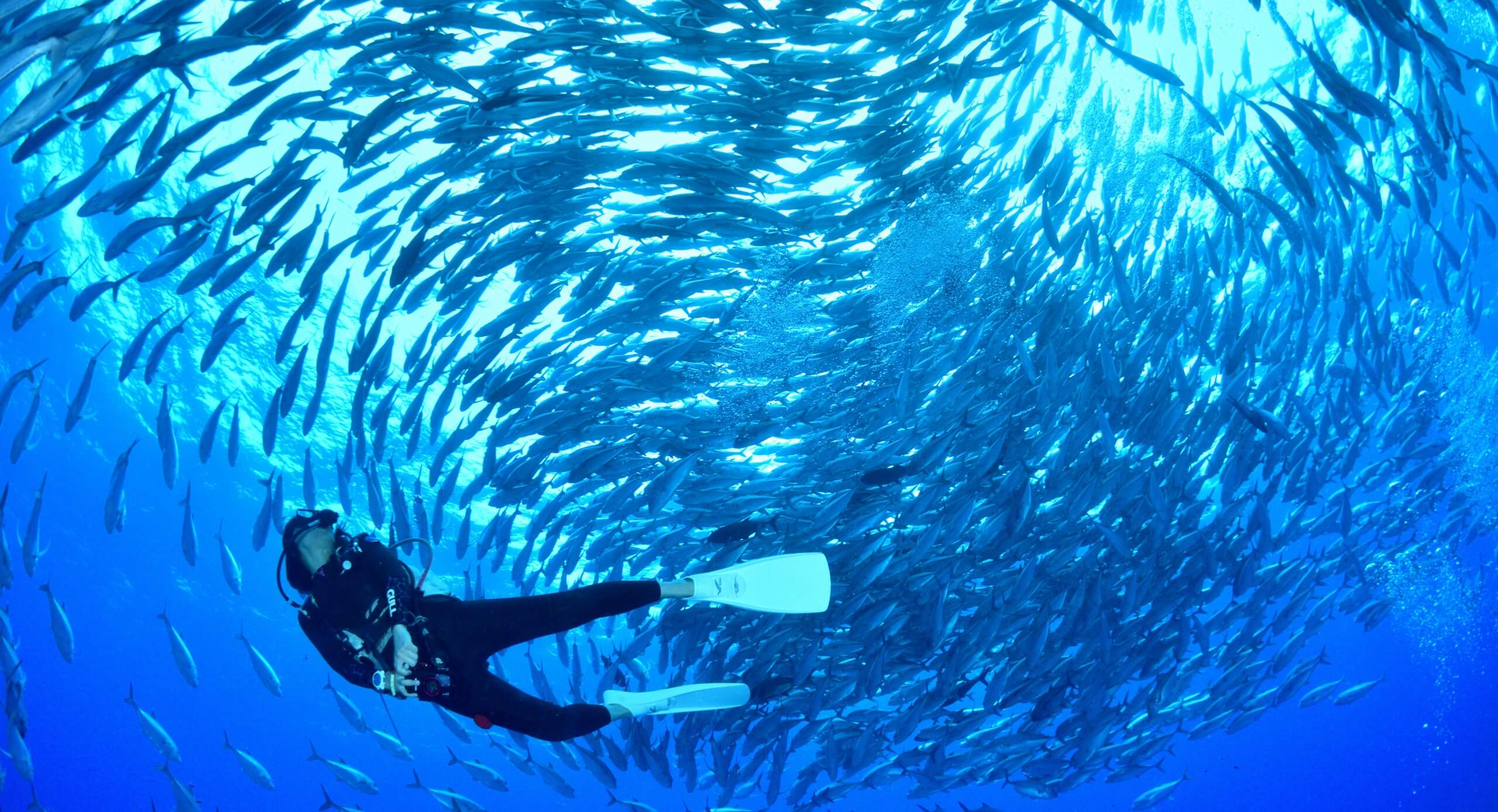 沖縄の海の魅力をご紹介 そこには、まだ知らない、沖縄がある。